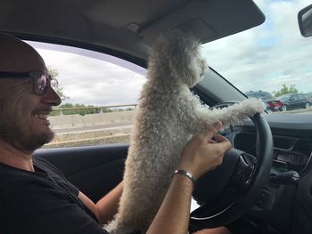 Man seen through car windshield