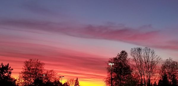 Low angle view of silhouette trees against sky during sunset
