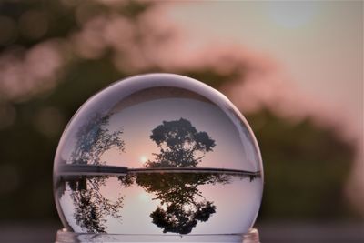 Close-up of crystal ball on glass against trees