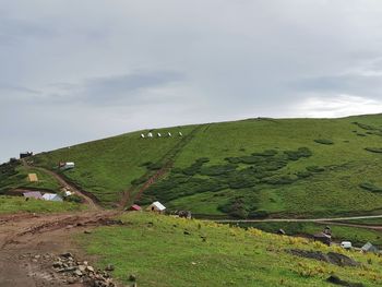 Scenic view of grassy field against sky