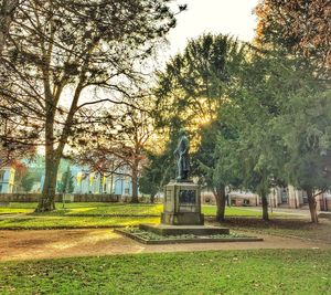 Park bench in park