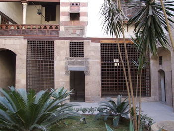 Potted plants against building