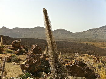 Scenic view of mountains