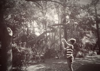 Woman standing on tree trunk