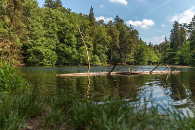 Scenic view of lake by trees against sky