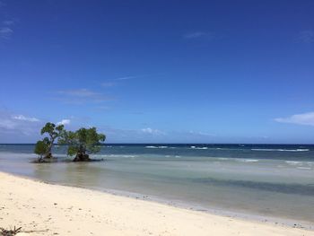 Scenic view of beach against blue sky