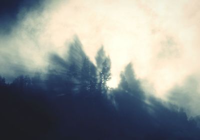 Scenic view of forest against sky