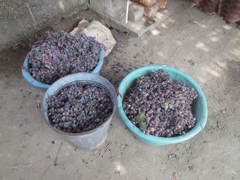 High angle view of fruits for sale in market