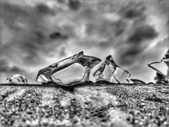 Close-up of crab on rock