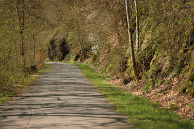 Footpath amidst trees in forest