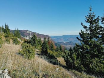 Scenic view of landscape against clear blue sky