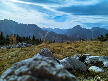 Surface level of land against sky