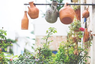 Terracotta pots hanging on pole over plants in yard