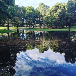 Scenic view of lake by trees against sky
