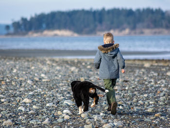 Rear view of boy running by dog at beach