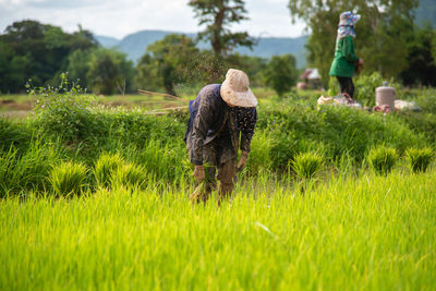 Rear view of women on field