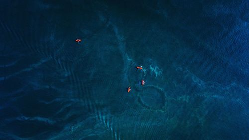 Drone view of kayaking in the lake.