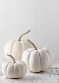 Autumn still life with tree small white pumpkins on light rustic background. minimal concept. 
