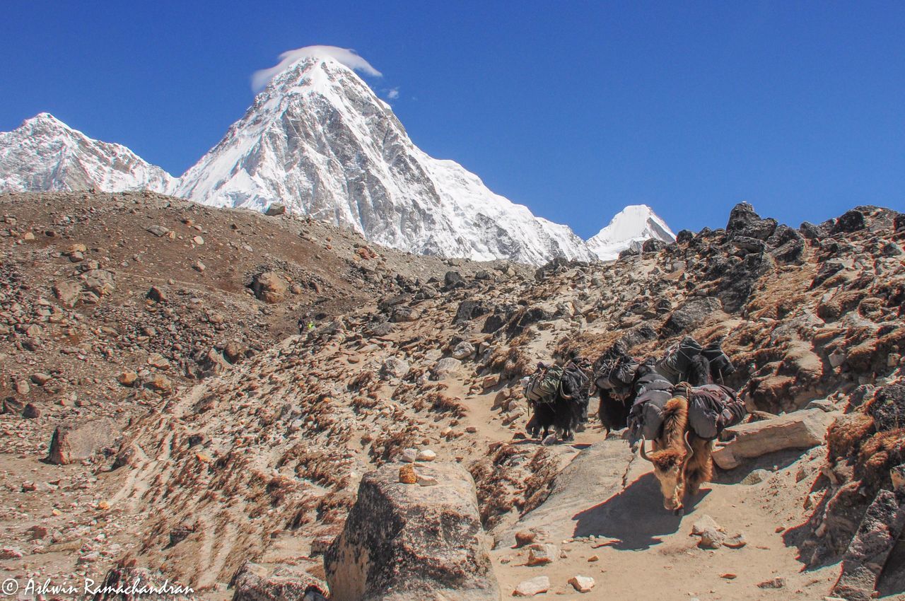 PANORAMIC VIEW OF SNOWCAPPED MOUNTAIN AGAINST SKY