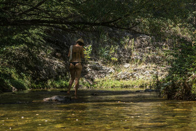 Rear view of person standing by river in forest