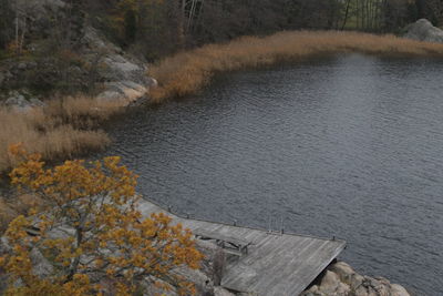 High angle view of river amidst trees in forest during autumn