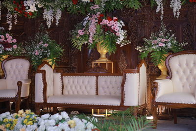 Potted plants on table