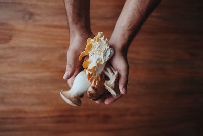 Cropped hands holding edible mushroom