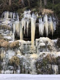 Scenic view of waterfall in forest during winter