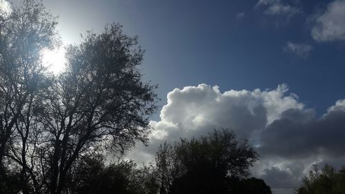 Low angle view of trees against cloudy sky