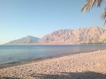 Scenic view of beach against clear blue sky