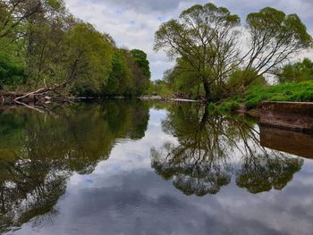 Reflection of trees in lake against sky