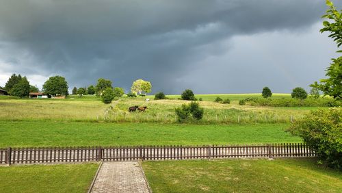 Scenic view of agricultural field against sky