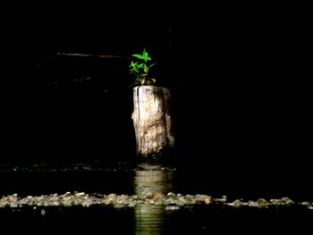 Illuminated lights at night