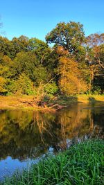 Scenic view of lake by trees in forest against sky