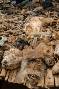 Close-up of dead animal parts for sale on vodoo market