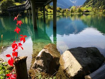 Reflection of trees and rocks on lake