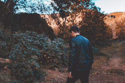 Rear view of man standing by trees in forest