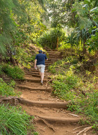 Rear view of man walking on footpath in forest