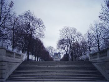Low angle view of stairs along trees