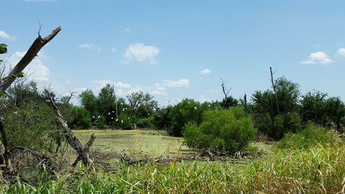 Scenic view of field against cloudy sky