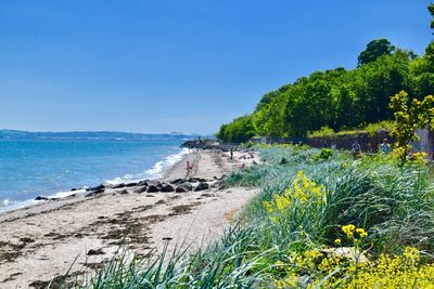 Scenic view of sea against clear blue sky