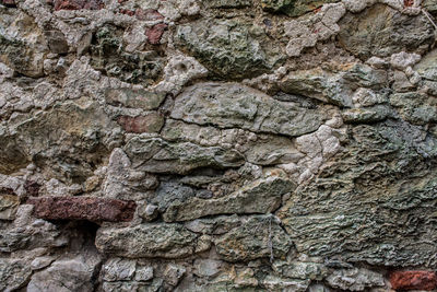 Close-up of stone wall