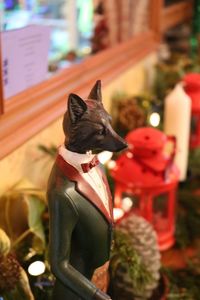 Black cat sitting on seat