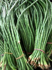 High angle view of vegetables for sale in market