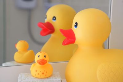 Close-up of yellow toys in bathroom