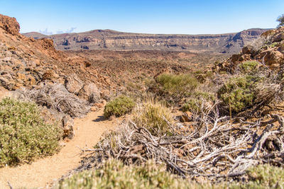 Scenic view of landscape against clear sky