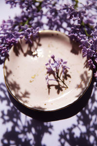 High angle view of purple flowering plant on table