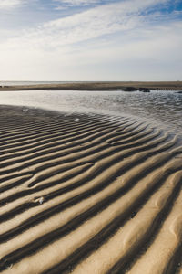 Scenic view of sandy beach