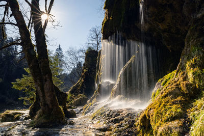 Scenic view of waterfall