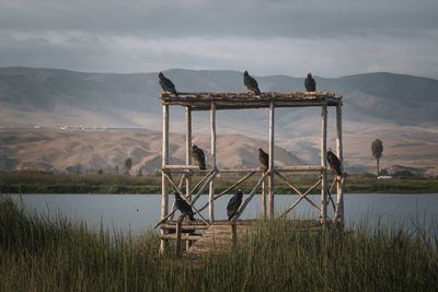 Birds perching on built structure against lake